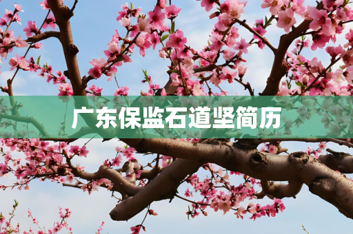 广东保监石道坚简历