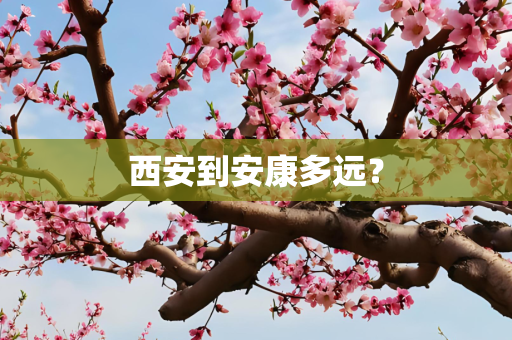 西安到安康多远？