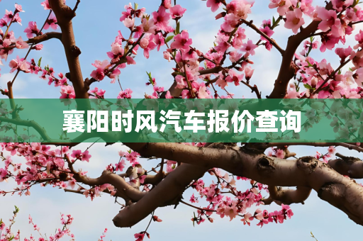 襄阳时风汽车报价查询