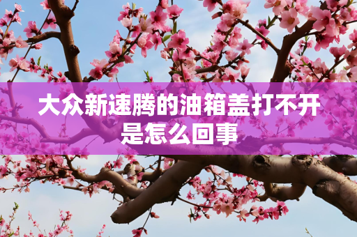 大众新速腾的油箱盖打不开是怎么回事