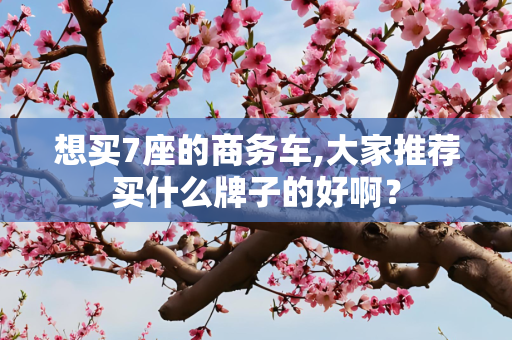 想买7座的商务车,大家推荐买什么牌子的好啊？