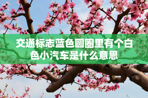 交通标志蓝色圆圈里有个白色小汽车是什么意思