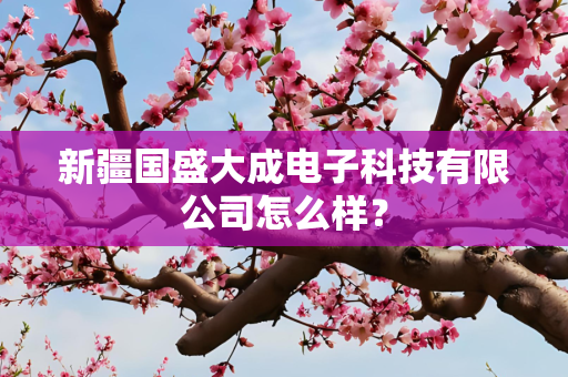 新疆国盛大成电子科技有限公司怎么样？