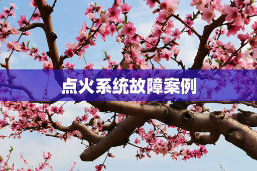 点火系统故障案例