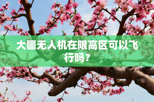 大疆无人机在限高区可以飞行吗？