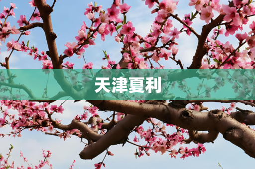 天津夏利