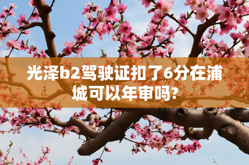 光泽b2驾驶证扣了6分在浦城可以年审吗?