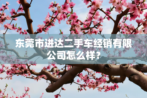 东莞市进达二手车经销有限公司怎么样？