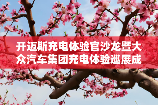 开迈斯充电体验官沙龙暨大众汽车集团充电体验巡展成功举行