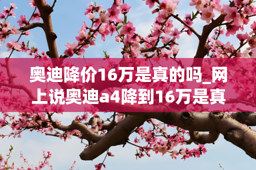 奥迪降价16万是真的吗_网上说奥迪a4降到16万是真的吗