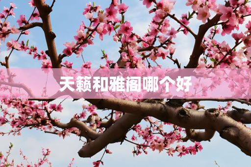 科技 第29页