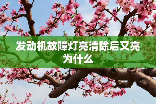 发动机故障灯亮清除后又亮为什么