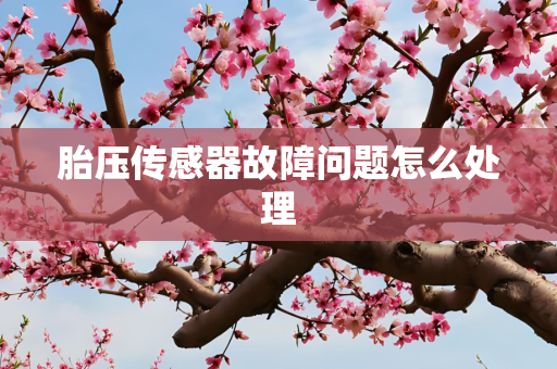 胎压传感器故障问题怎么处理
