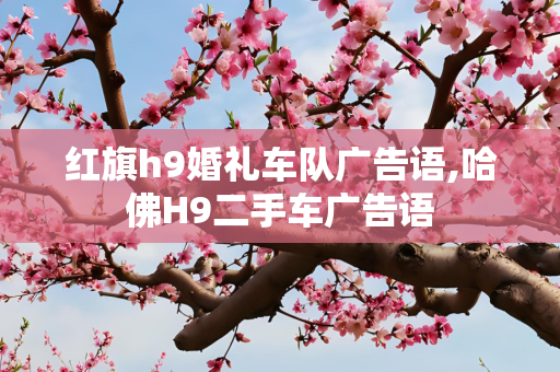 红旗h9婚礼车队广告语,哈佛H9二手车广告语