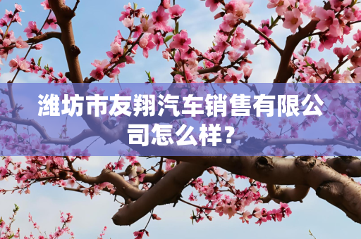 潍坊市友翔汽车销售有限公司怎么样？