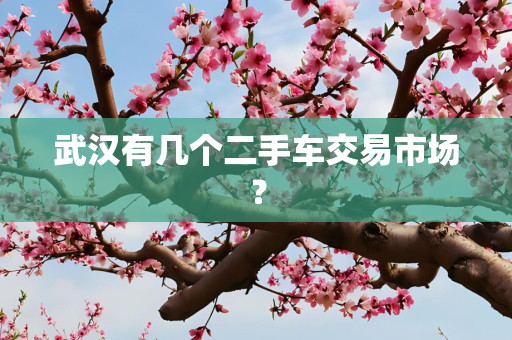 武汉有几个二手车交易市场？