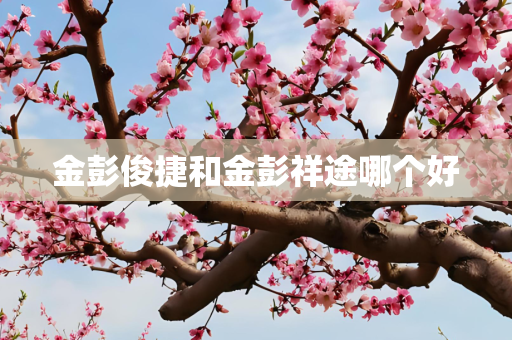 金彭俊捷和金彭祥途哪个好