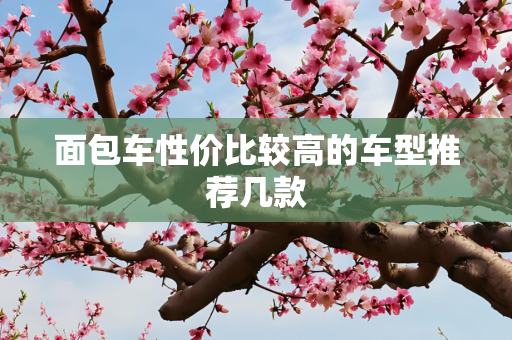 国际 第263页