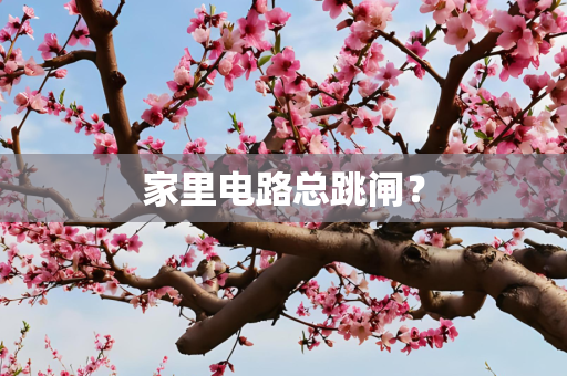 家里电路总跳闸？