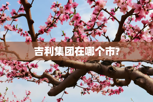 吉利集团在哪个市?
