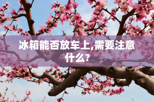 冰箱能否放车上,需要注意什么?