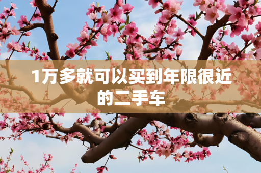 1万多就可以买到年限很近的二手车