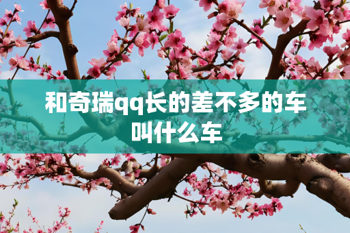 和奇瑞qq长的差不多的车叫什么车