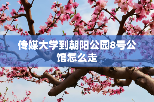 信息 第41页