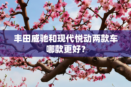 丰田威驰和现代悦动两款车哪款更好？