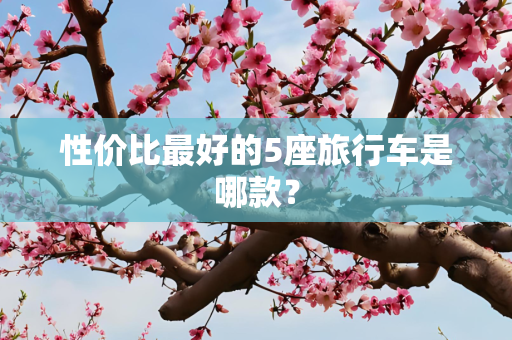 性价比最好的5座旅行车是哪款？