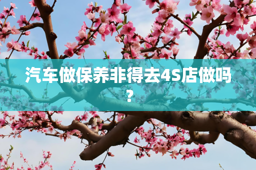 汽车做保养非得去4S店做吗？