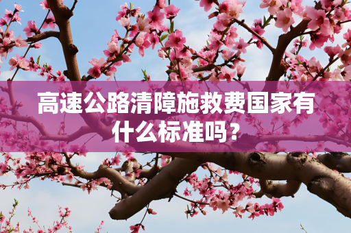 高速公路清障施救费国家有什么标准吗？