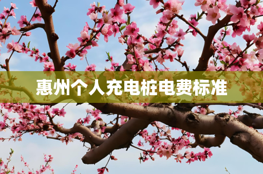 惠州个人充电桩电费标准