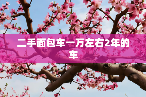 二手面包车一万左右2年的车