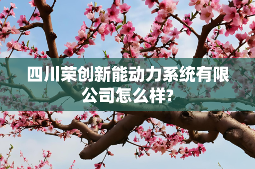 四川荣创新能动力系统有限公司怎么样?
