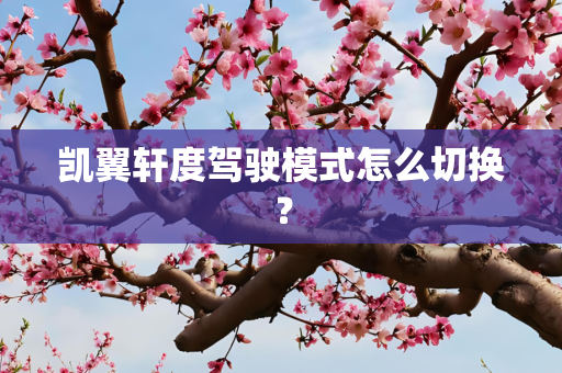 凯翼轩度驾驶模式怎么切换？