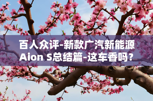 百人众评-新款广汽新能源Aion S总结篇-这车香吗？