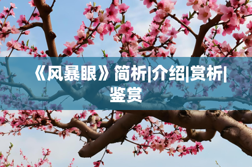 《风暴眼》简析|介绍|赏析|鉴赏