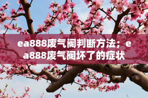 ea888废气阀判断方法；ea888废气阀坏了的症状