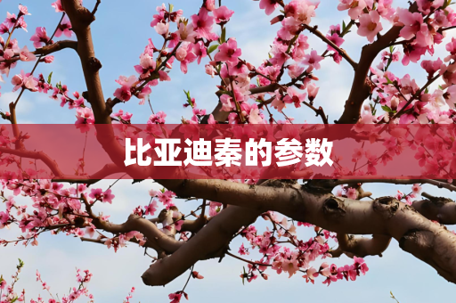 比亚迪秦的参数