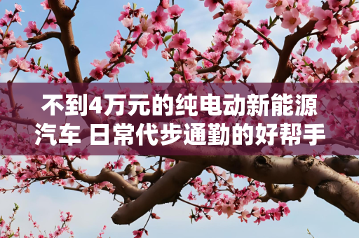 不到4万元的纯电动新能源汽车 日常代步通勤的好帮手