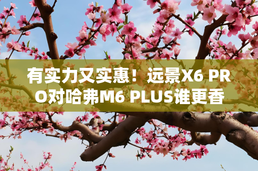 有实力又实惠！远景X6 PRO对哈弗M6 PLUS谁更香
