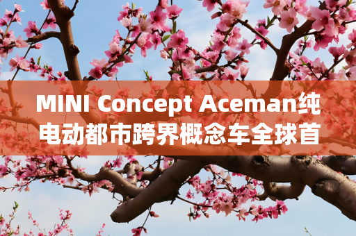 MINI Concept Aceman纯电动都市跨界概念车全球首发