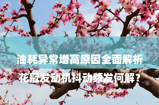 

花冠发动机抖动频发何解？油耗异常增高原因全面解析