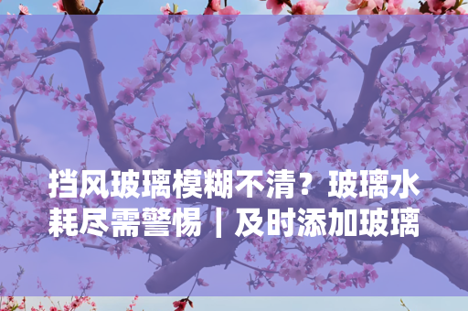 

挡风玻璃模糊不清？玻璃水耗尽需警惕｜及时添加玻璃水保障行车视野安全

前挡清洁告急！爱车玻璃水缺失别大意｜三步教你快速补充守护驾驶清晰度