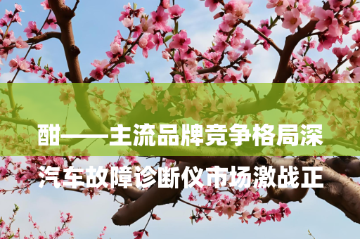 

汽车故障诊断仪市场激战正酣——主流品牌竞争格局深度解析