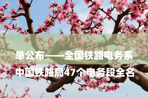 

中国铁路局47个电务段全名单公布——全国铁路电务系统分布与名录详解