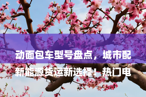 

新能源货运新选择！热门电动面包车型号盘点，城市配送节能首选