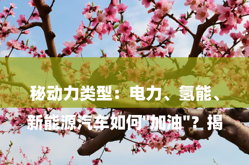 

新能源汽车如何