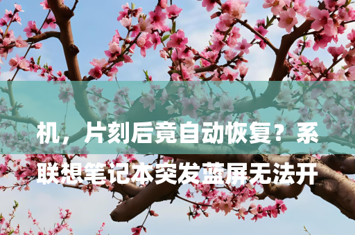 

联想笔记本突发蓝屏无法开机，片刻后竟自动恢复？系统崩溃背后暗藏哪些隐患？
